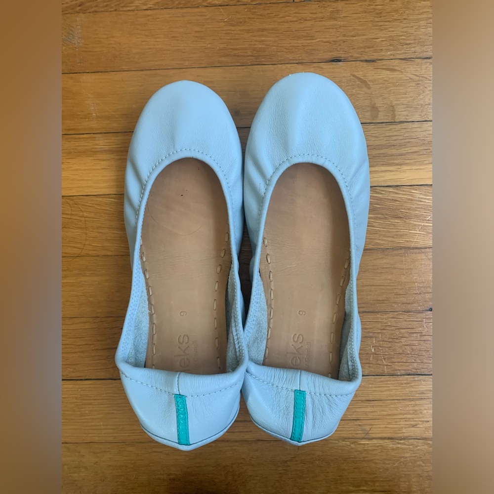 Tieks (only worn twice!)